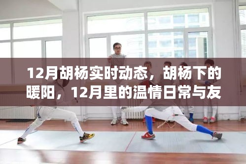12月胡杨下的暖阳，实时动态与温情日常的友情印记