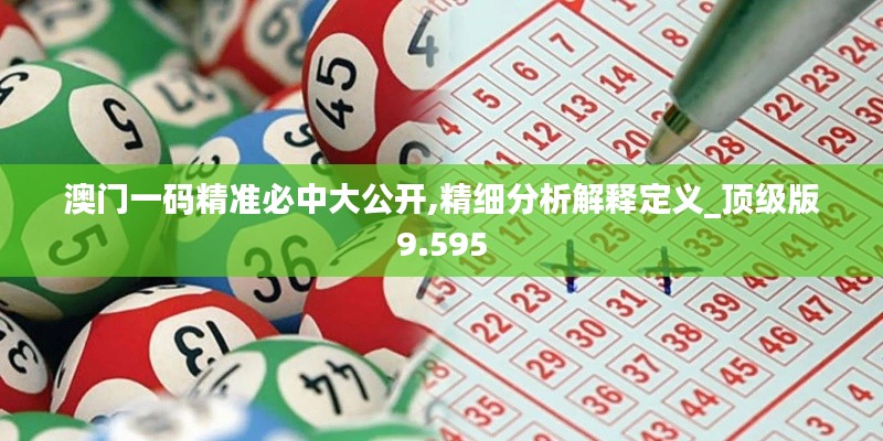 澳门一码精准必中大公开,精细分析解释定义_顶级版9.595