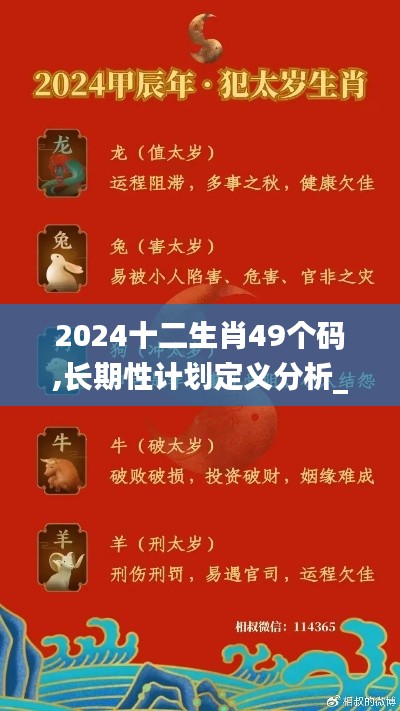 2024十二生肖49个码,长期性计划定义分析_eShop12.864