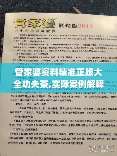 管家婆资料精准正版大全功夫茶,实际案例解释定义_升级版7.900