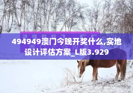 494949澳门今晚开奖什么,实地设计评估方案_L版3.929