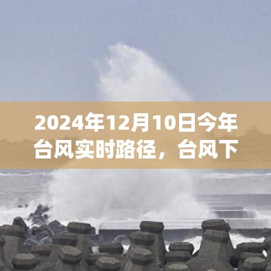 台风下的美好时光，与友共度的温馨日常
