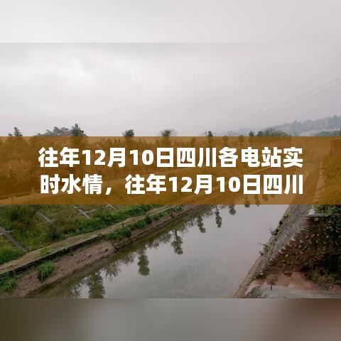 往年12月10日四川各电站实时水情深度解析与观点阐述