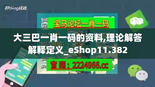 大三巴一肖一码的资料,理论解答解释定义_eShop11.382