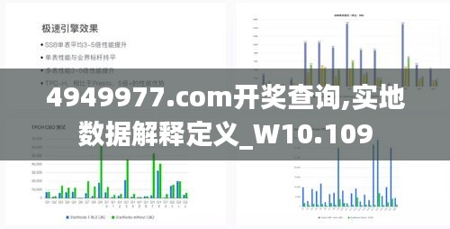 4949977.соm开奖查询,实地数据解释定义_W10.109