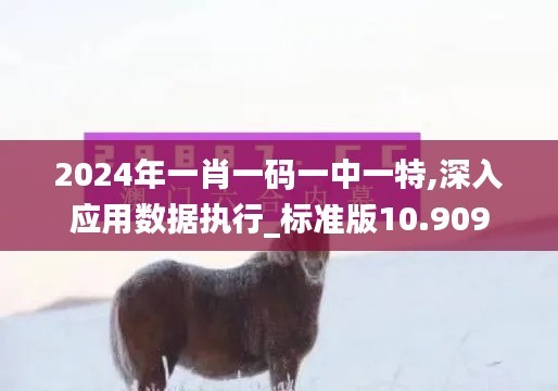 2024年一肖一码一中一特,深入应用数据执行_标准版10.909