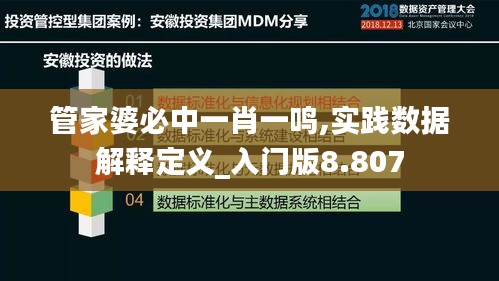 管家婆必中一肖一鸣,实践数据解释定义_入门版8.807