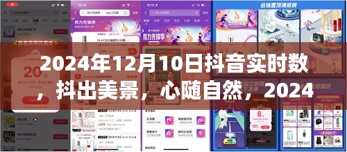 抖出美景，宁静之旅，2024年12月10日抖音实时数带你领略自然之美
