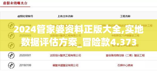 2024管家婆资料正版大全,实地数据评估方案_冒险款4.373