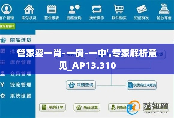 管家婆一肖-一码-一中′,专家解析意见_AP13.310