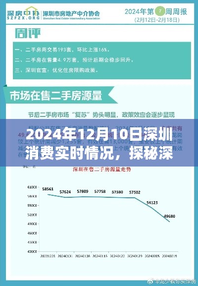 探秘深圳，2024年12月10日消费新动向实时报道