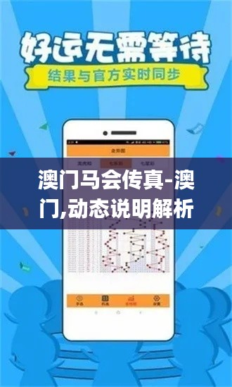 澳门马会传真-澳门,动态说明解析_移动版14.761