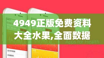 4949正版免费资料大全水果,全面数据应用分析_5DM10.221