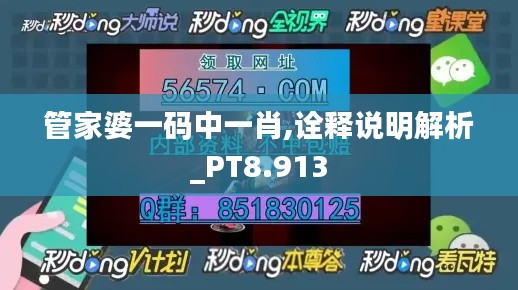 管家婆一码中一肖,诠释说明解析_PT8.913