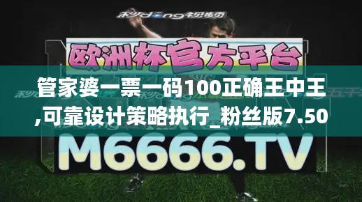 管家婆一票一码100正确王中王,可靠设计策略执行_粉丝版7.509
