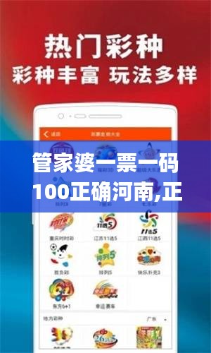 管家婆一票一码100正确河南,正确解答定义_冒险版9.295