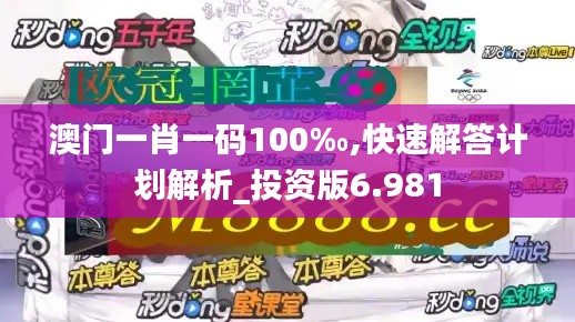 澳门一肖一码100‰,快速解答计划解析_投资版6.981