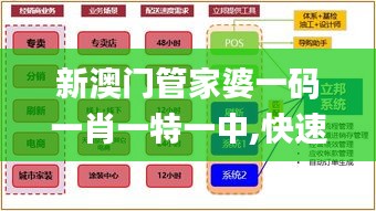 新澳门管家婆一码一肖一特一中,快速设计响应方案_高级款3.653