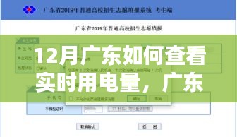 广东实时用电量查询指南，深度评测与用户体验分享