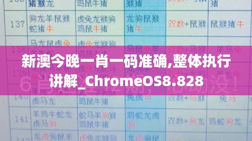 新澳今晚一肖一码准确,整体执行讲解_ChromeOS8.828