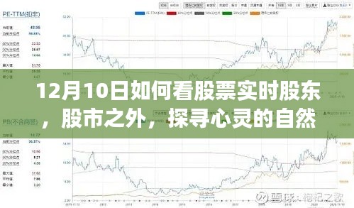 12月10日绿色股票实时股东之旅，探寻心灵的自然港湾与股市内外的洞察