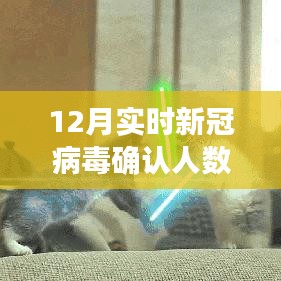 全球关注，十二月新冠病毒实时确认人数及其背景与影响分析