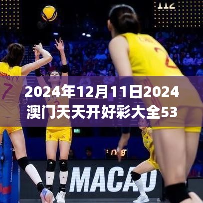 2024年12月11日2024澳门天天开好彩大全53期,快捷问题解决方案_冒险款8.395