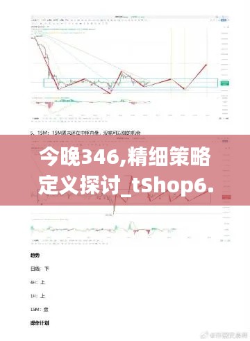 今晚346,精细策略定义探讨_tShop6.412