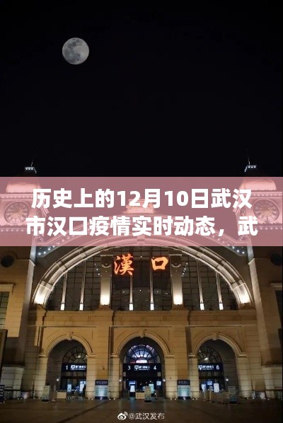 自然探索之旅