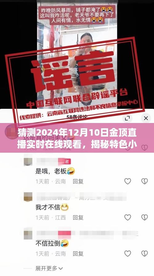 金顶直播，探寻特色小店，展现小巷深处的直播魅力——2024年12月10日实时在线观看