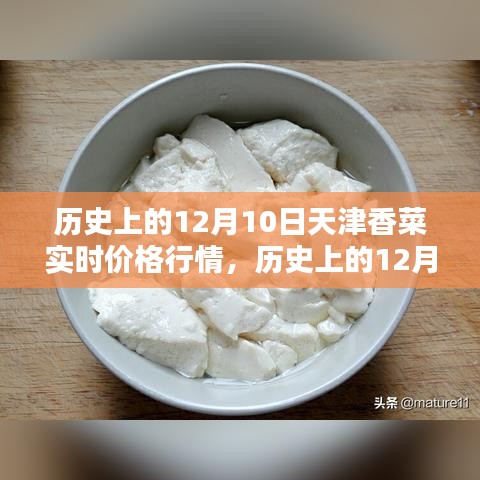 天津香菜在历史上的价格行情解析，聚焦十二月十日实时价格数据