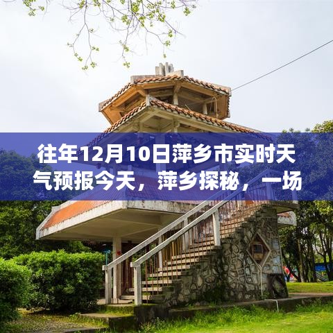 萍乡市12月10日天气预报，与自然邂逅的探秘之旅，寻求内心宁静的旅程