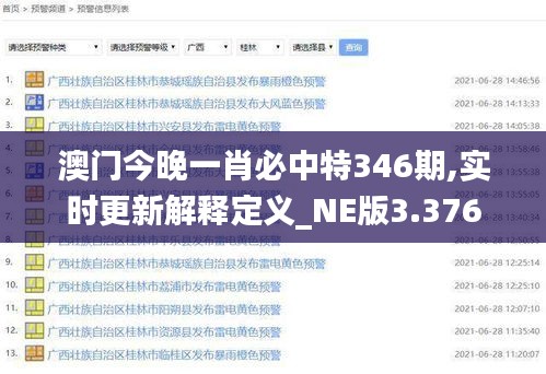 澳门今晚一肖必中特346期,实时更新解释定义_NE版3.376