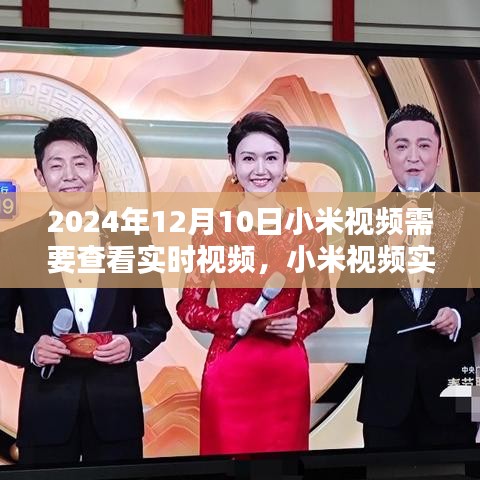小米视频实时查看指南，从初学者到进阶用户，一键掌握实时视频查看步骤（2024年12月10日更新）