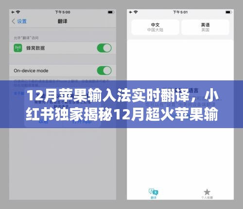 小红书独家揭秘，苹果输入法实时翻译功能，轻松实现跨语言无障碍交流！