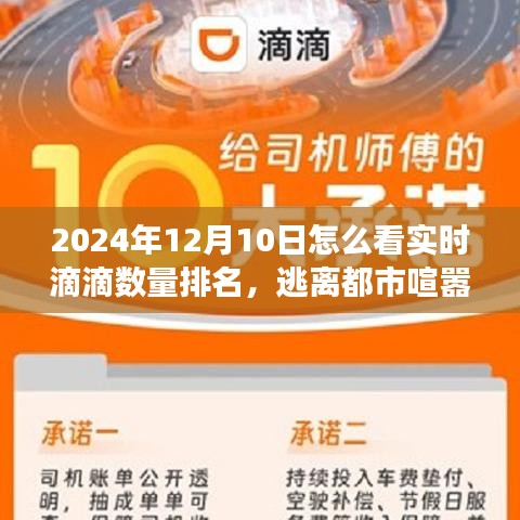 建议，逃离都市喧嚣，探寻滴滴美景背后的宁静，滴滴实时数量排名与自然之旅
