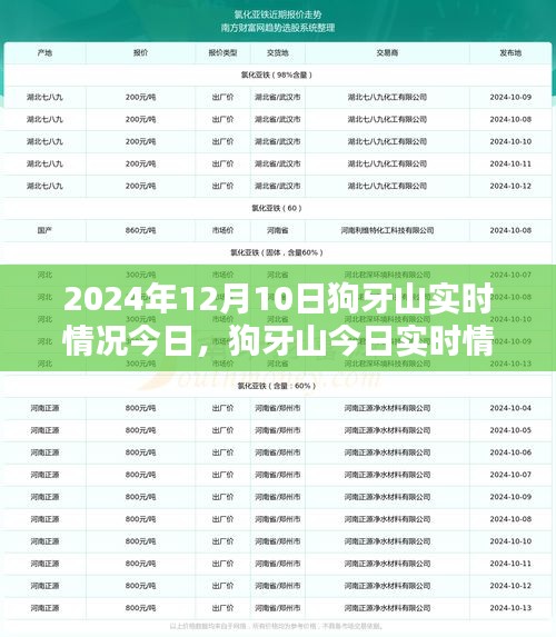 狗牙山实时情况纪实，探索自然之美的独特视角