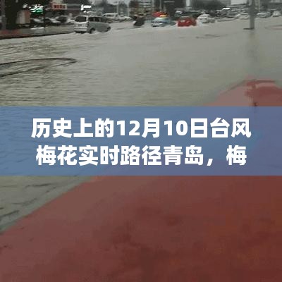 梅花台风下的青岛之旅，台风实时路径与温馨友情故事