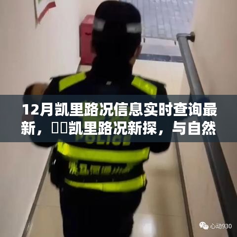 凯里路况实时更新，与自然美景的浪漫之旅，启程寻找宁静之地
