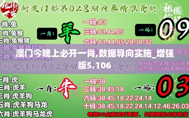 澳门今晚上必开一肖,数据导向实施_增强版5.106