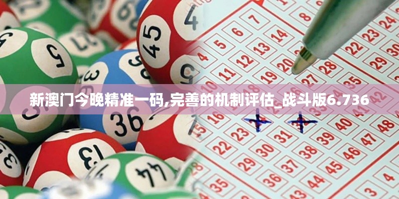 新澳门今晚精准一码,完善的机制评估_战斗版6.736