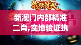 新澳门内部精准二肖,实地验证执行数据_手游版13.976