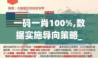 一码一肖100%,数据实施导向策略_铂金版4.318
