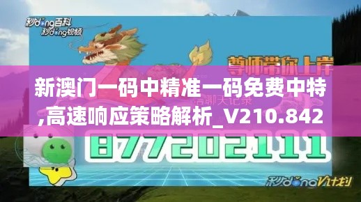 新澳门一码中精准一码免费中特,高速响应策略解析_V210.842
