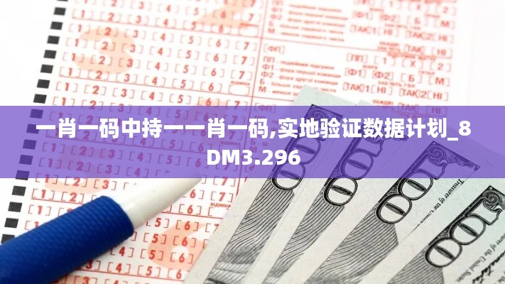 一肖一码中持一一肖一码,实地验证数据计划_8DM3.296