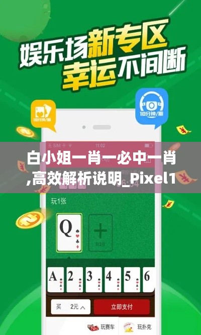 白小姐一肖一必中一肖,高效解析说明_Pixel11.728
