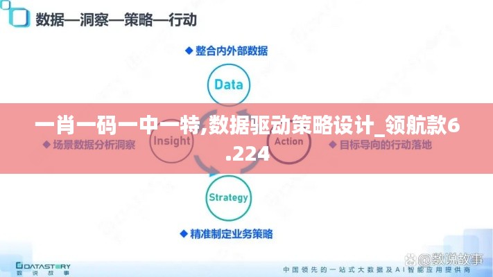 一肖一码一中一特,数据驱动策略设计_领航款6.224