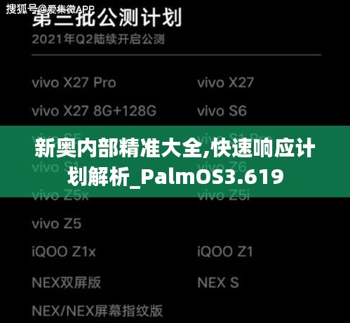 新奥内部精准大全,快速响应计划解析_PalmOS3.619