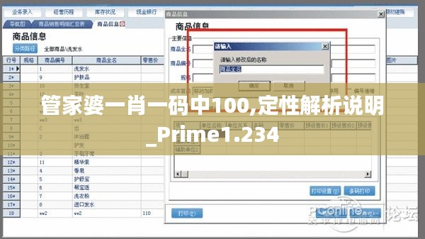 管家婆一肖一码中100,定性解析说明_Prime1.234