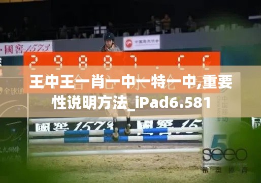 王中王一肖一中一特一中,重要性说明方法_iPad6.581